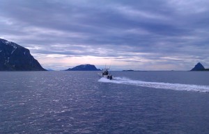Angelboote am Dafjord