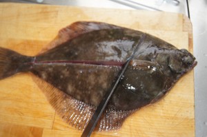 Plattfische filetieren (2)