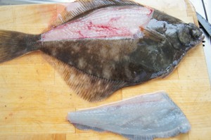 Plattfische filetieren (4)