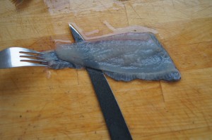 Plattfische filetieren (5)